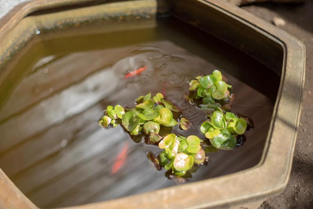 Ryokan Inami Mito  Zewnętrze zdjęcie